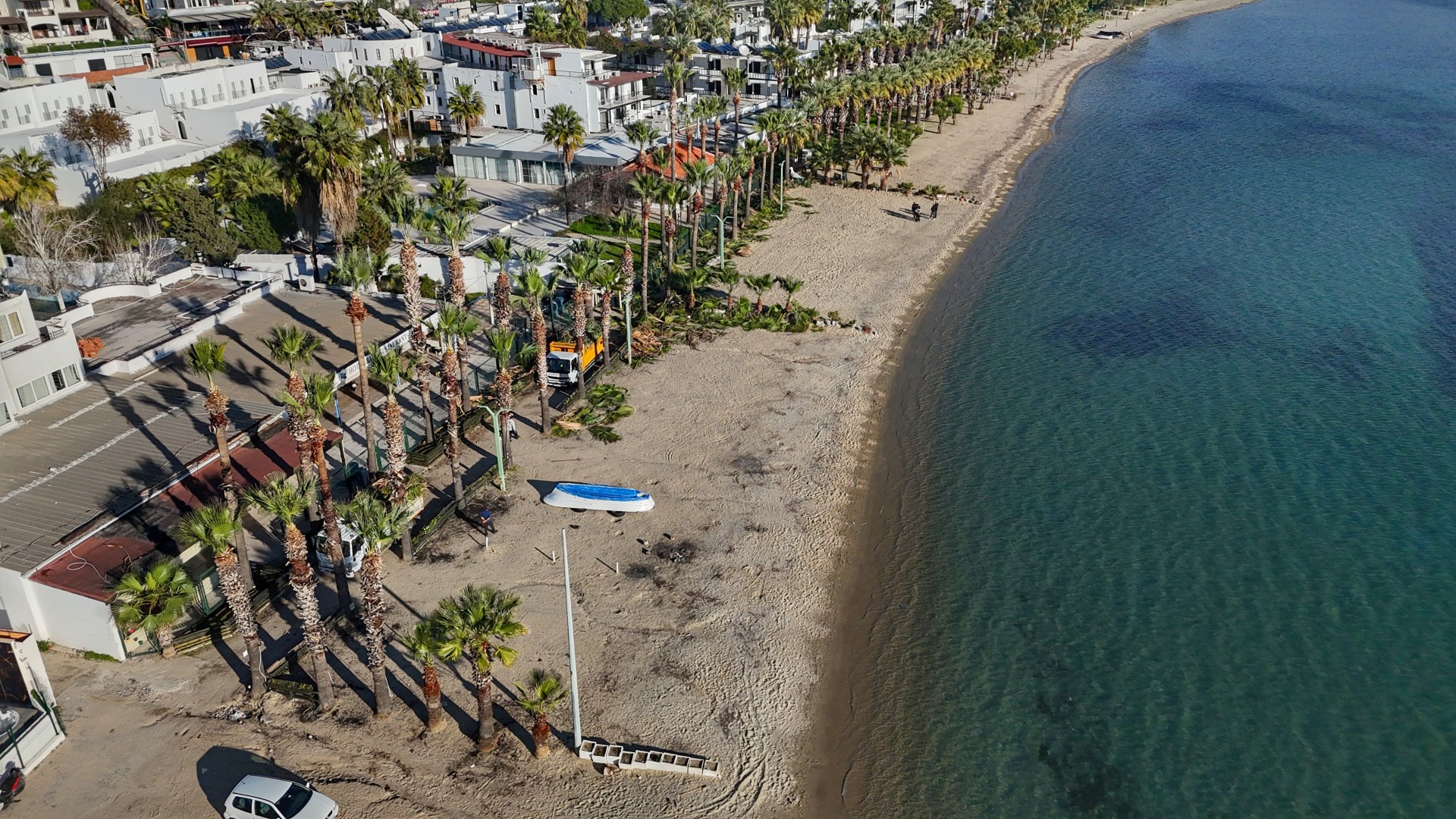 Bodrum’da Palmiyeler Yeniden Şekil Alıyor! Budama Işlemlerine Başlandı (2)