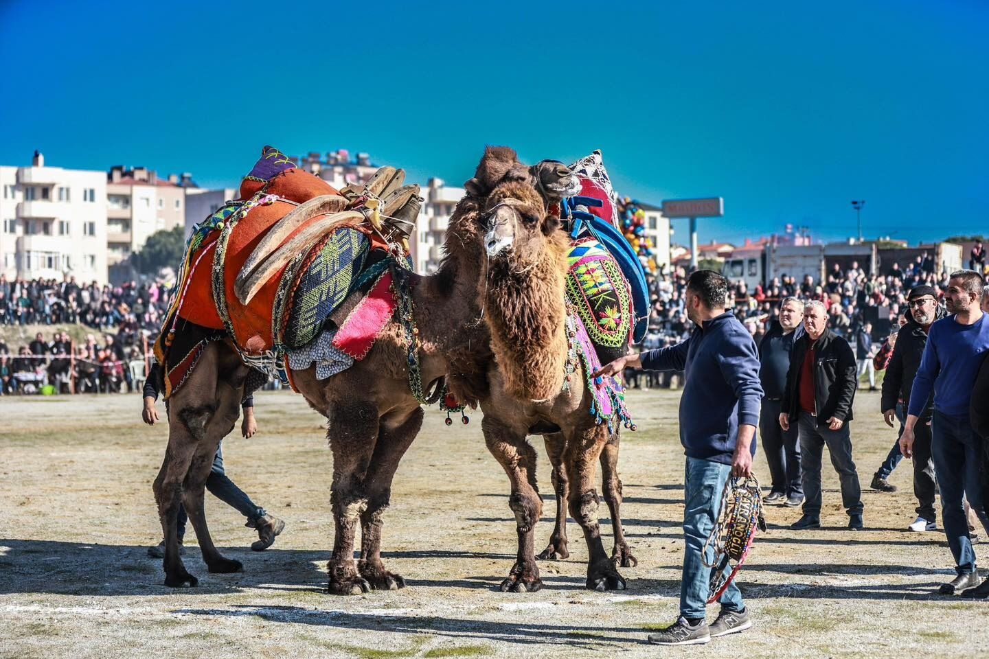 Burhaniye Güreş Arenası’nda Unutulmaz Anlar (3)