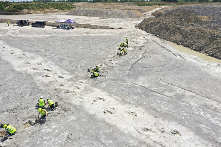 İngiltere'de Tarihi Keşif Devasa Dinozor Ayak Izleri Bulundu 1