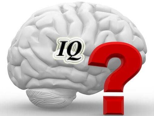 Iq Nedir