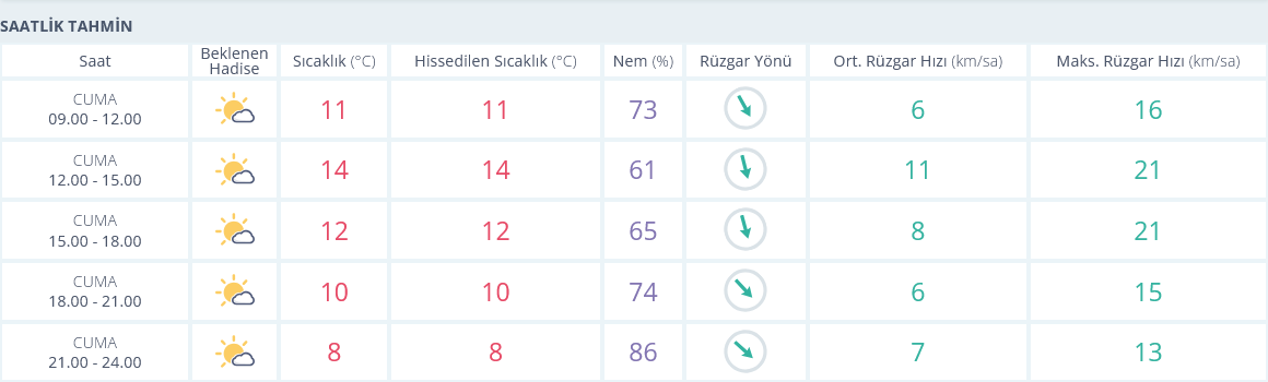 Izmir 17 Ocak Saatlik Hava Durumu