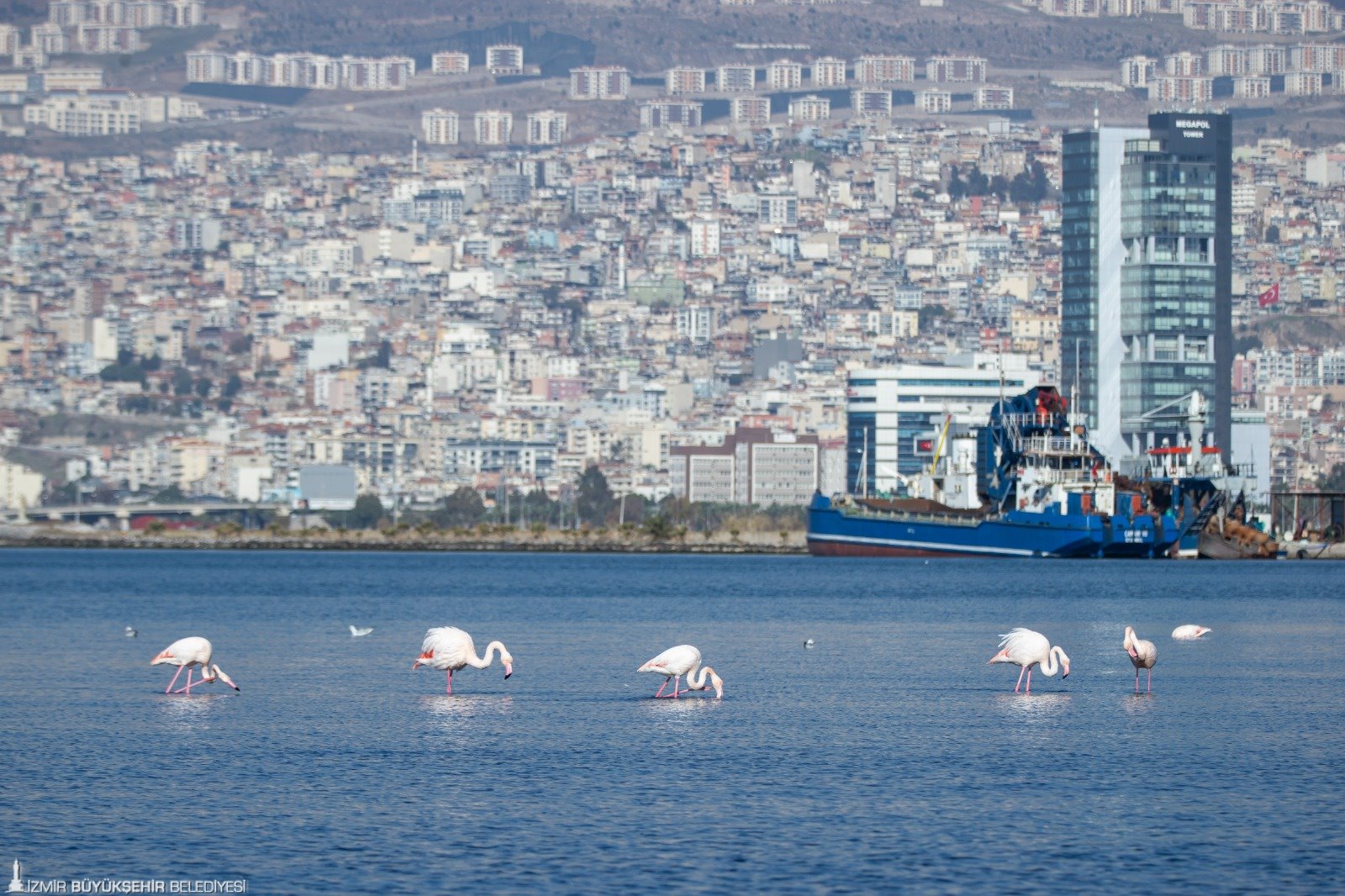 İzmir, Yeşil Gelecek Için Türkiye’ye Ilham Veriyor (2)