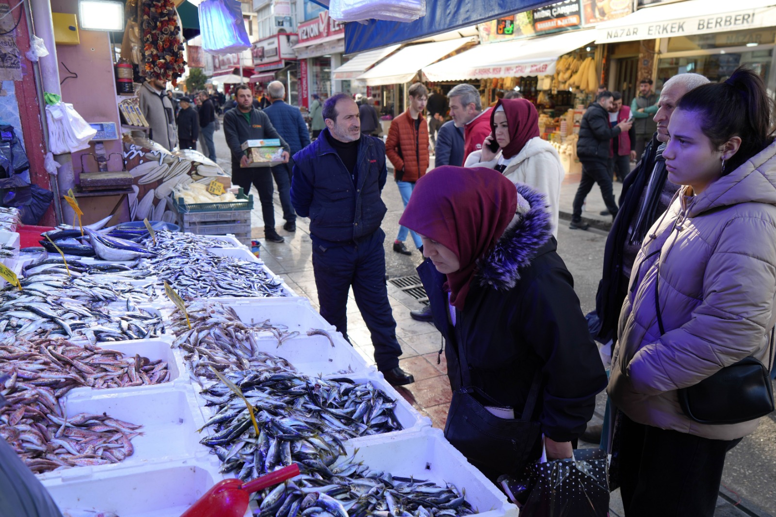 Karadeniz’de Mezgit Ve Istavrit Bolluğu Fiyatlar Düşüşte (1)