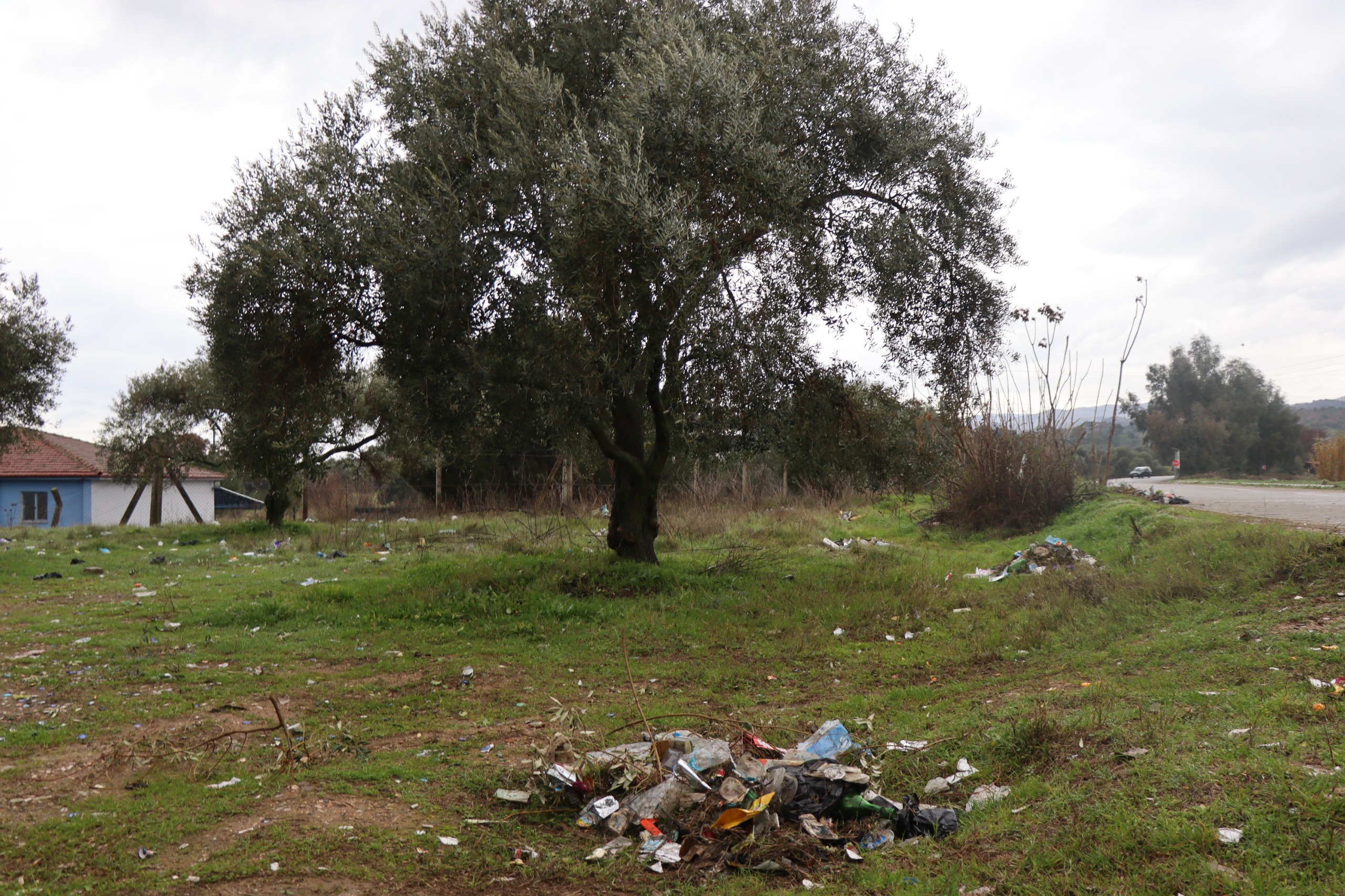 Nazilli Belediyesi'nden Bozyurt Mahallesi'nde Temizlik Seferberliği  (2)