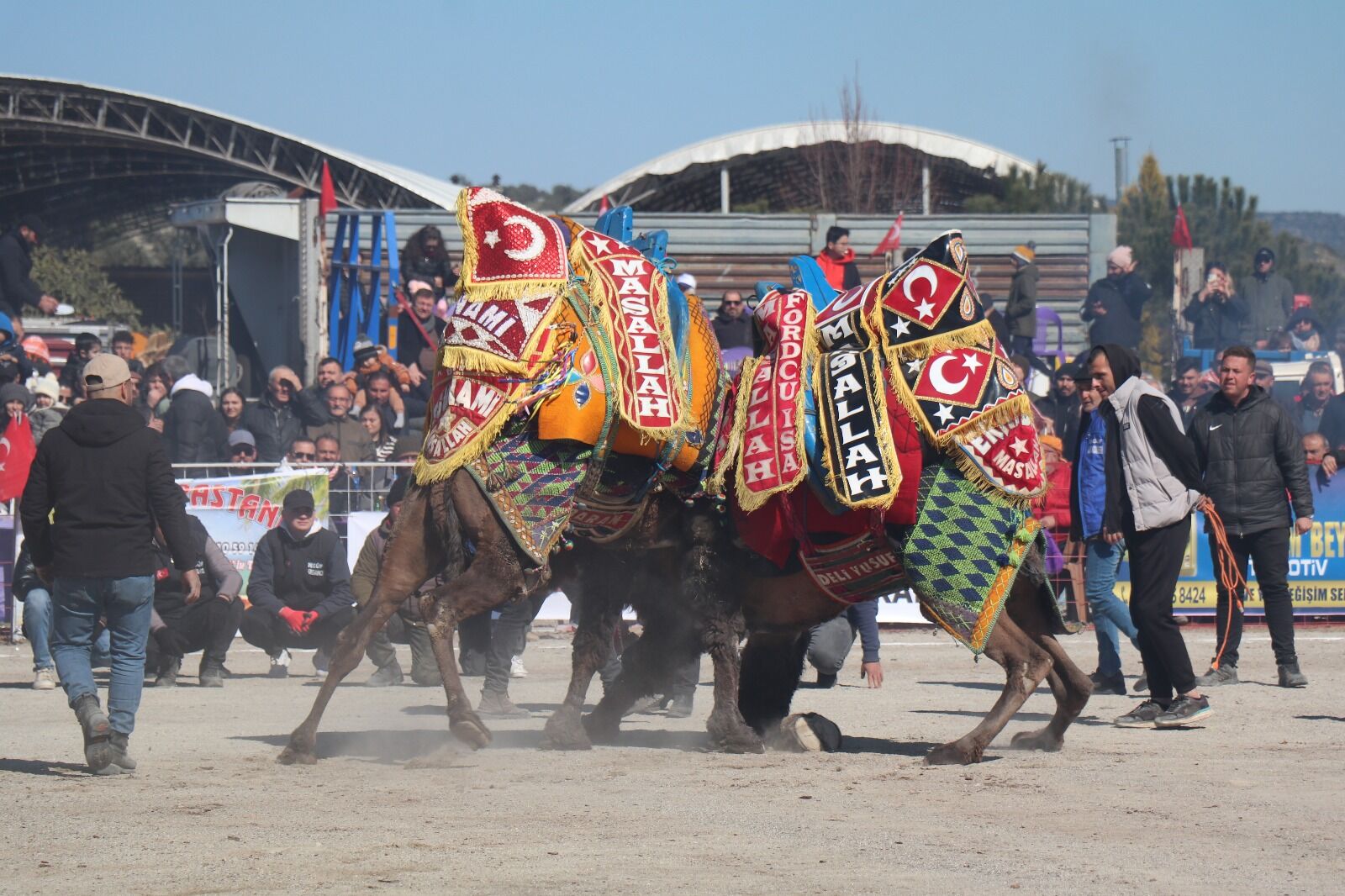 20. Deve Güreşi Festivali 18 Bin Kişilik Coşkuya Sahne Oldu! (2)