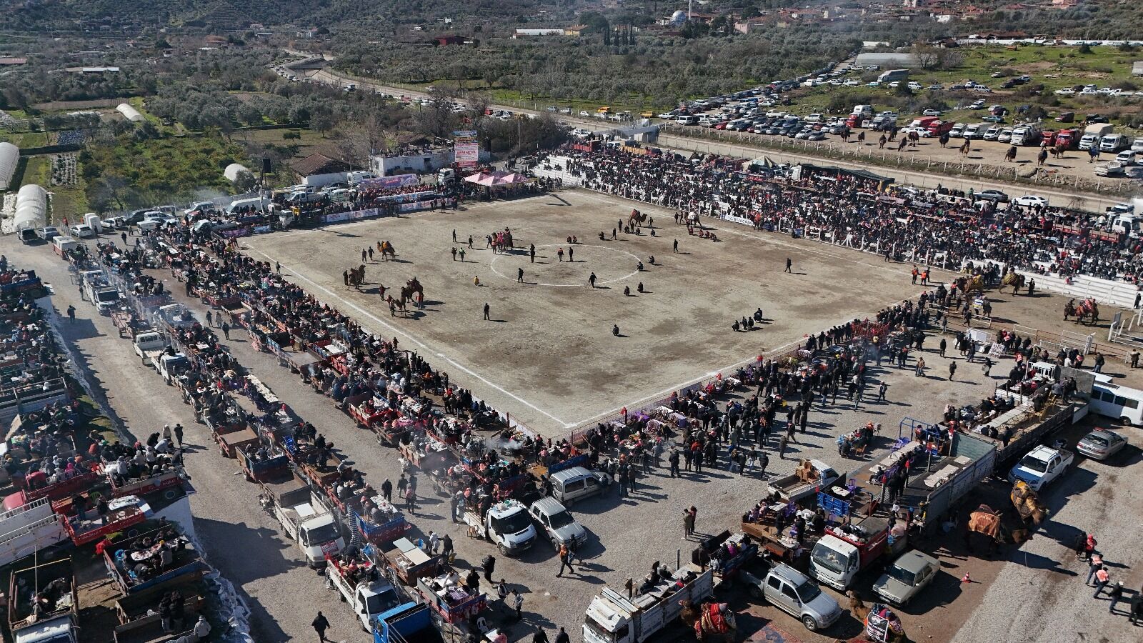 20. Deve Güreşi Festivali 18 Bin Kişilik Coşkuya Sahne Oldu! (3)