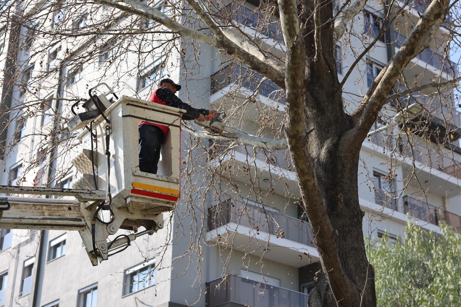 Bayraklı Parkları Baştan Sona Yenileniyor (2)