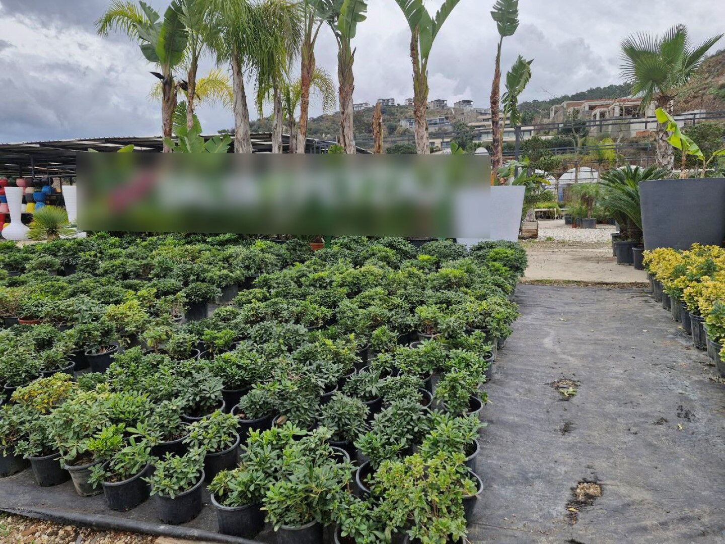 Bodrum Belediyesi Zabıtasından Sektör Bazlı Denetim (3)