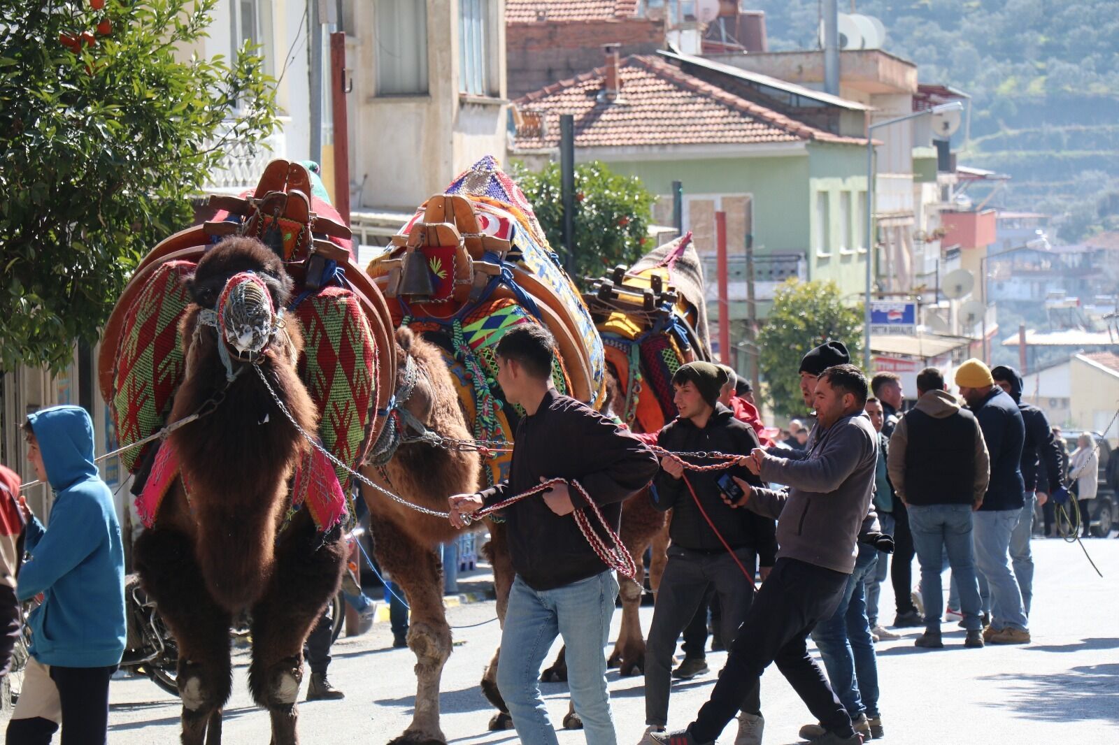 Bozdoğan’da 20. Deve Güreşi Festivali Öncesi Kortej Coşkusu3