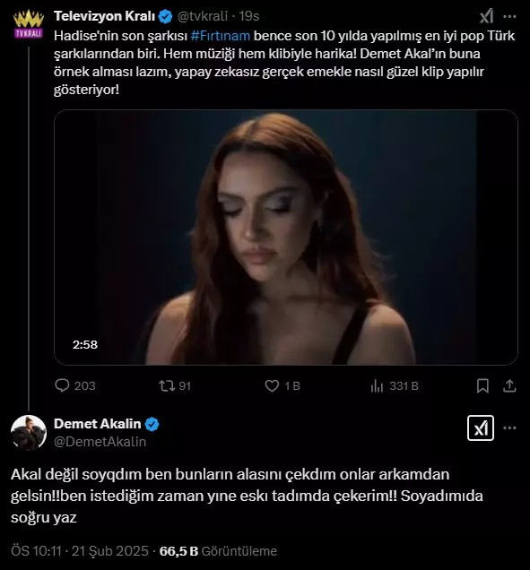 Demet Akalın Açıklama