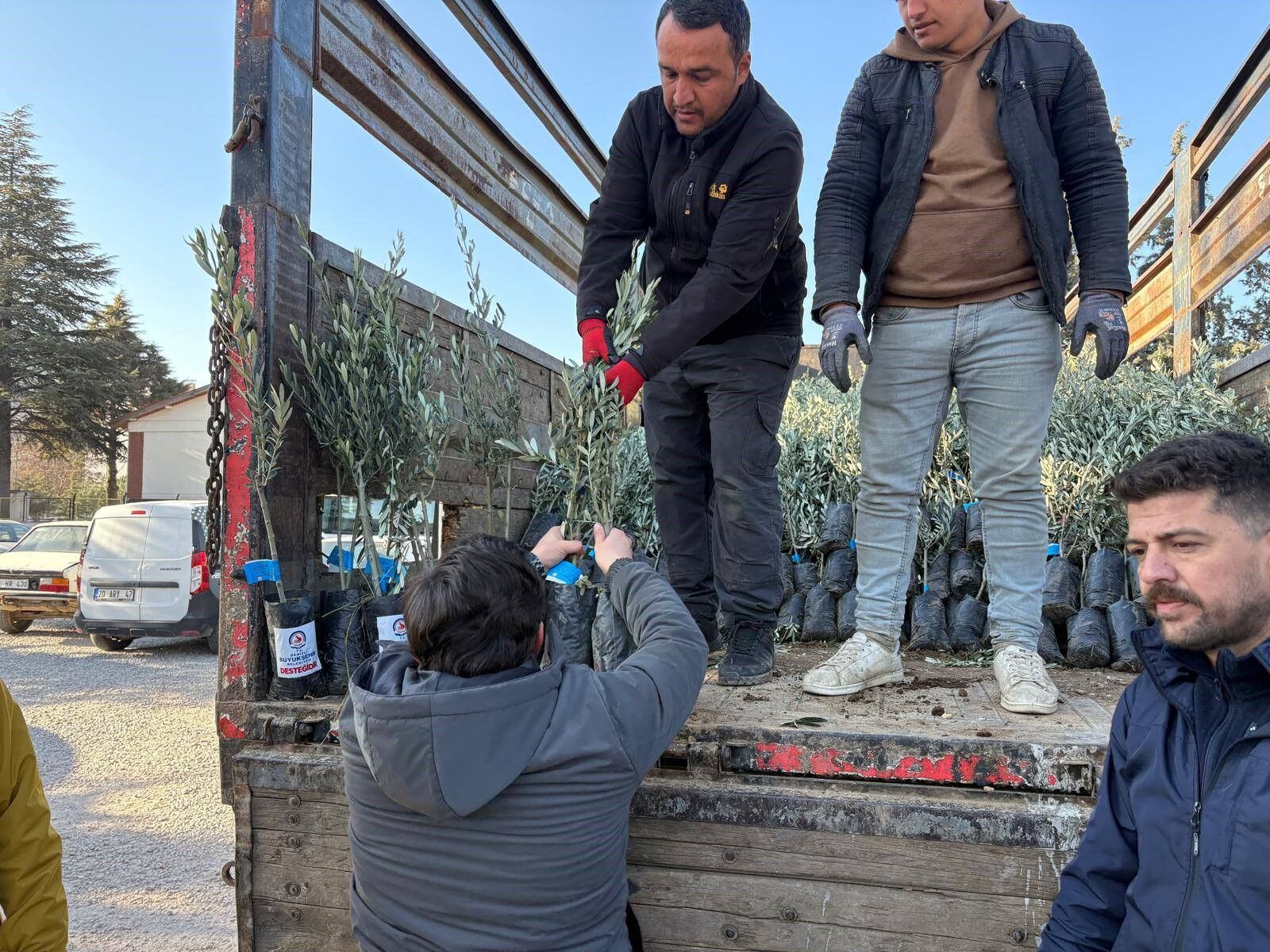 Denizli’de Çiftçilere 5 Bin 600 Zeytin Fidanı Desteği (3)