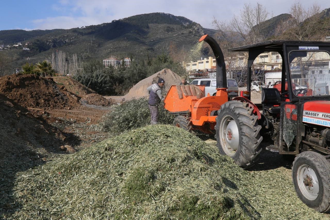 Edremit'te Budama Atıkları Gübreye Dönüşüyor (3)