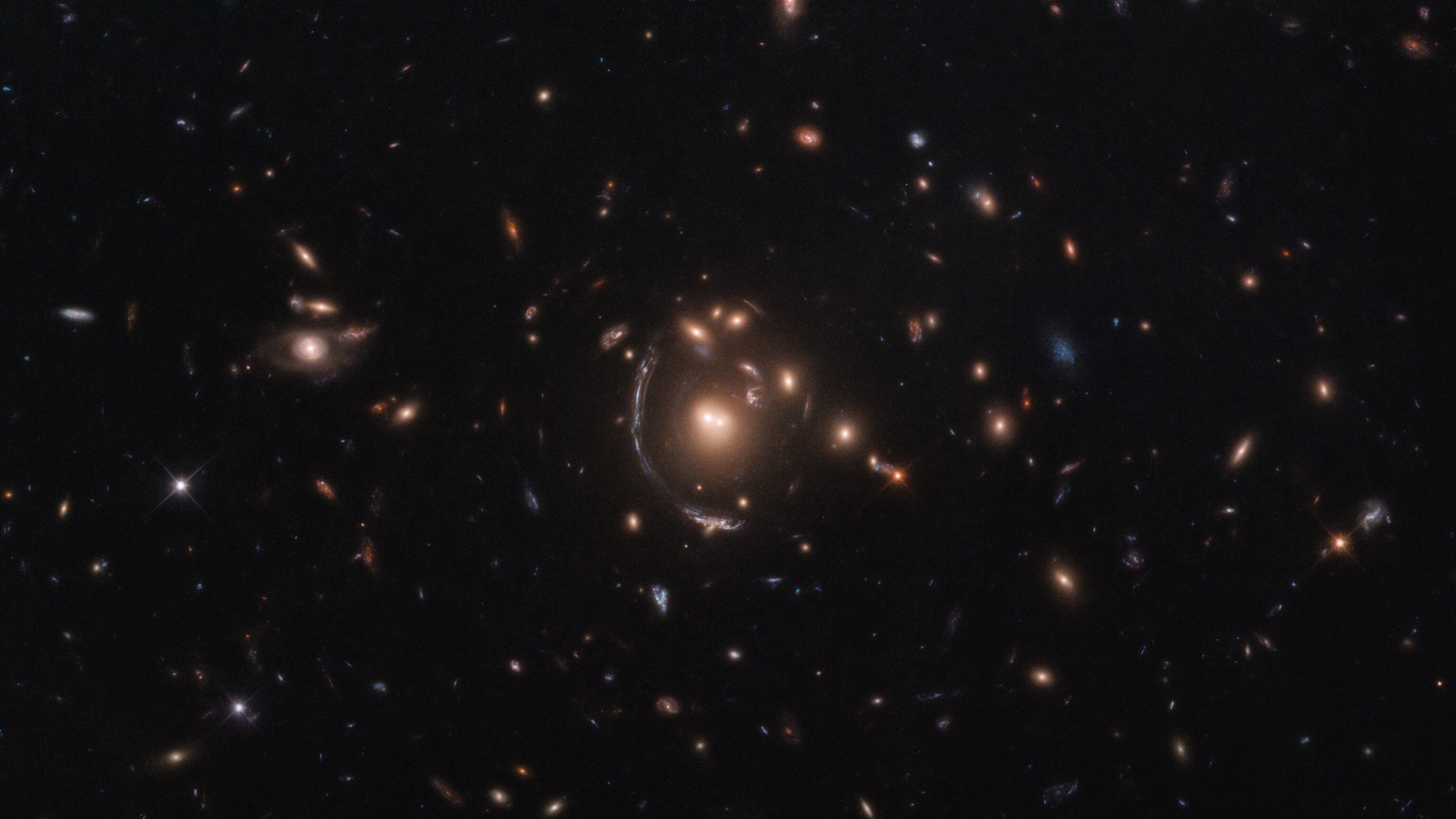 Euclid Uzay Teleskobu, Einstein Halkasının Derinliklerine Işık Tutuyor-1