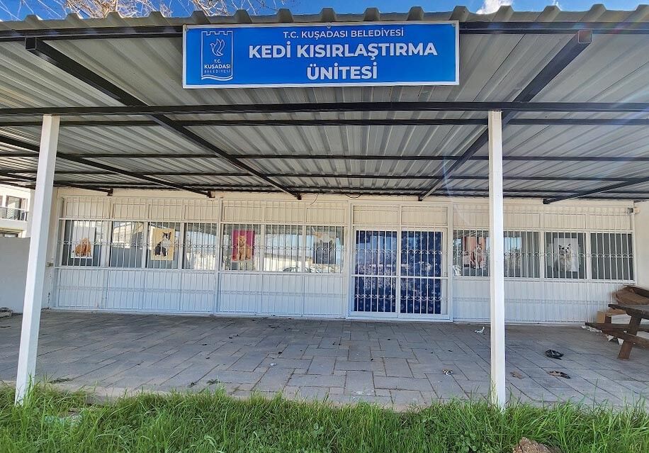 Kuşadası ‘Hayvan Dostu Kent’ Olma Yolunda Ilerliyor (3)