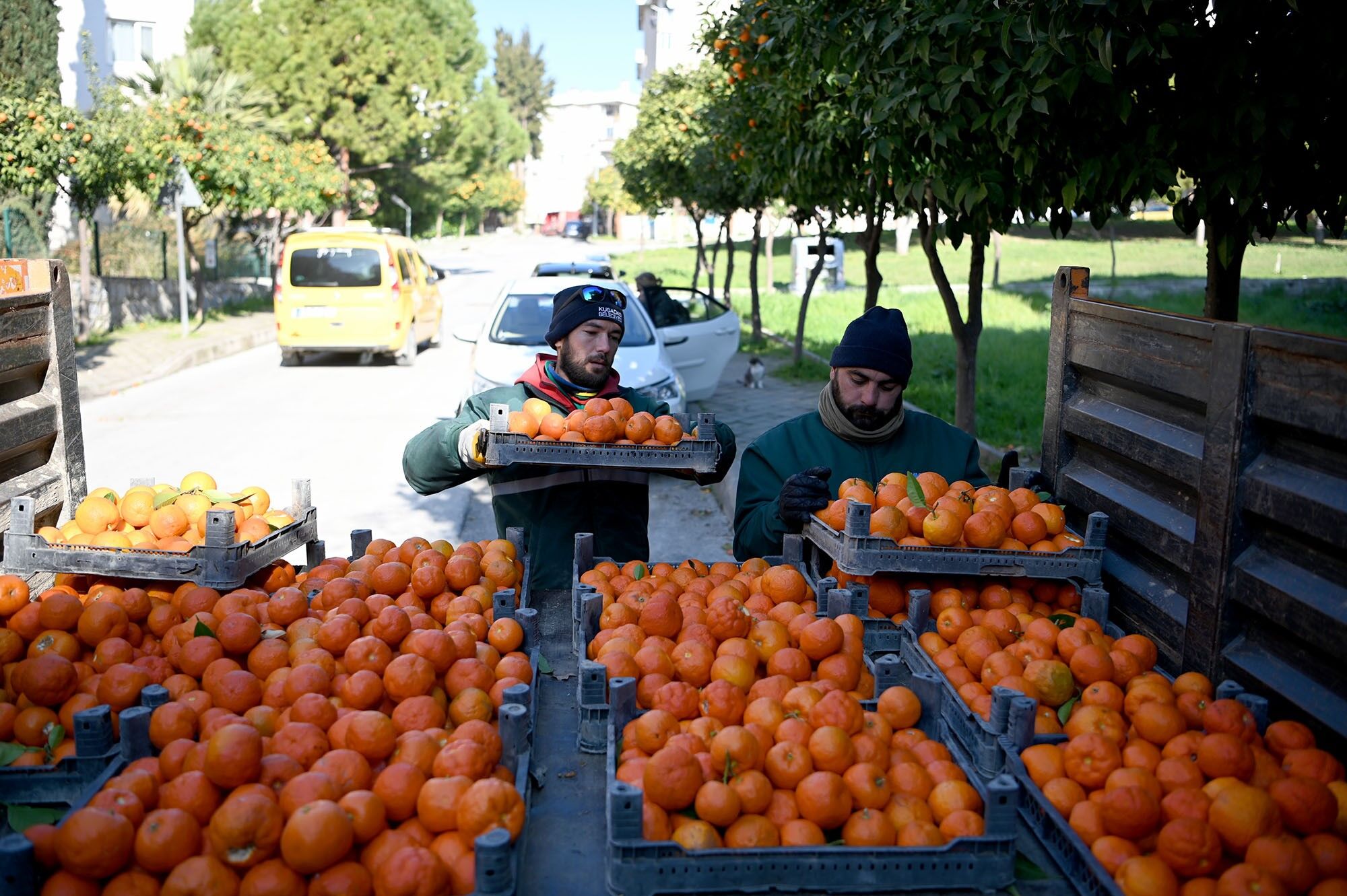 Kuşadası’nda Kadın Kooperatifinden Tatlı Dönüşüm (1)