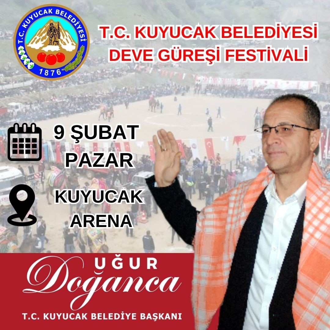 Kuyucak'ta Geleneksel Kuyucak Deve Güreşi Festivali Başlıyor (3)