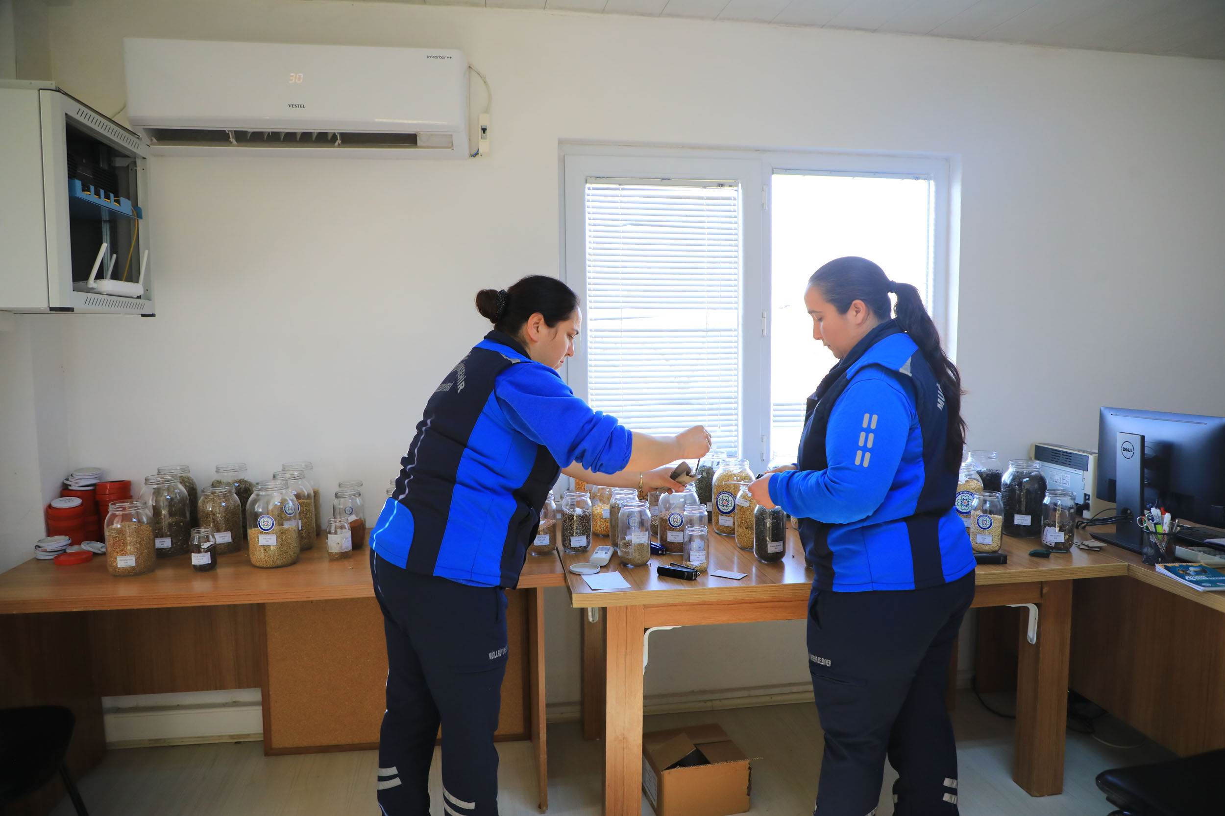 Muğla'da 2 Milyon Yerel Tohum Toprakla Buluşuyor (3)