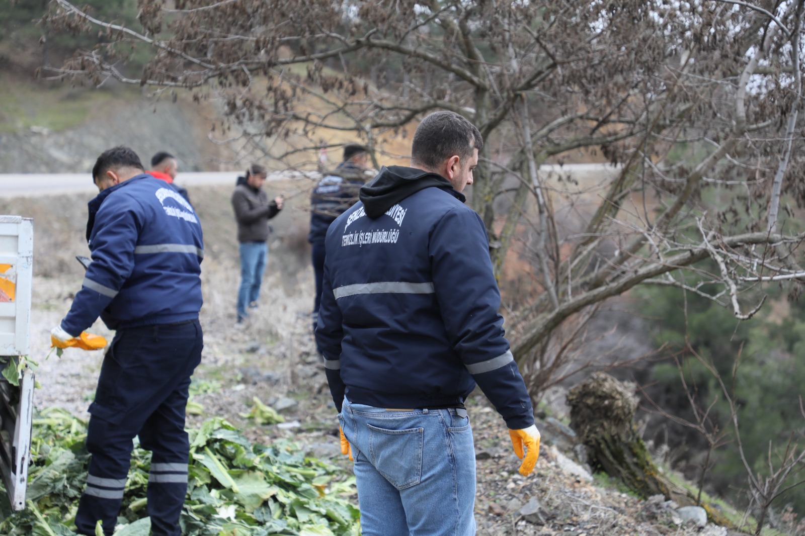 Şehzadeler Belediyesi Yılkı Atlarına Sahip Çıkıyor (2)