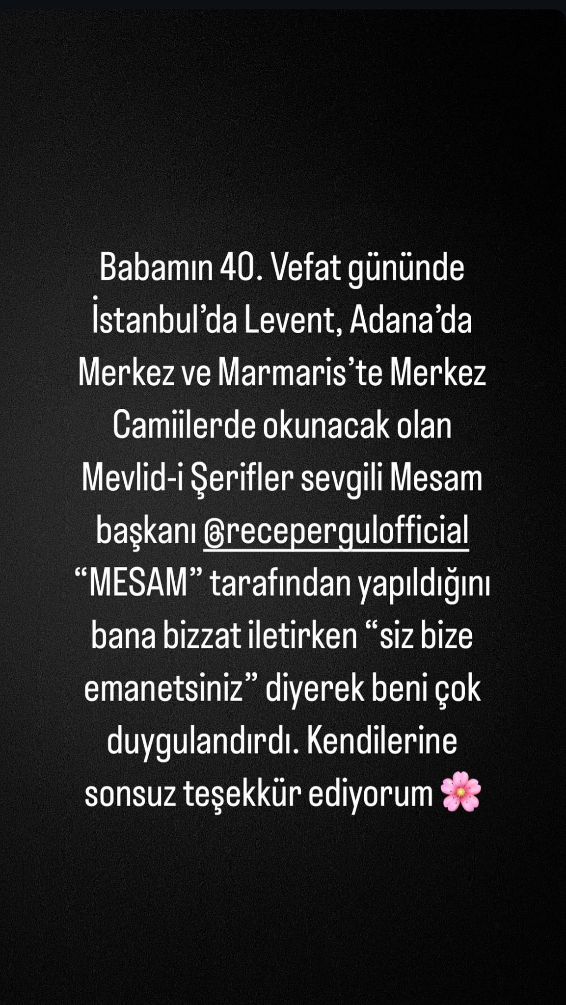 Tuğçe Tayfur2