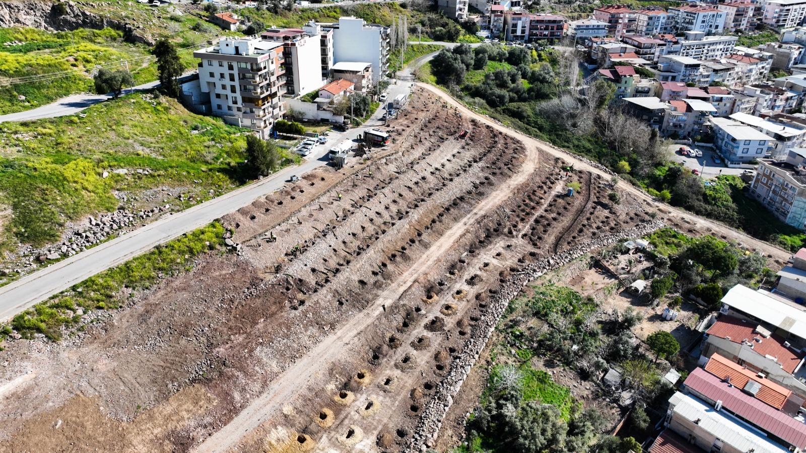 Bornova Yeni Bir Orman Kazanıyor