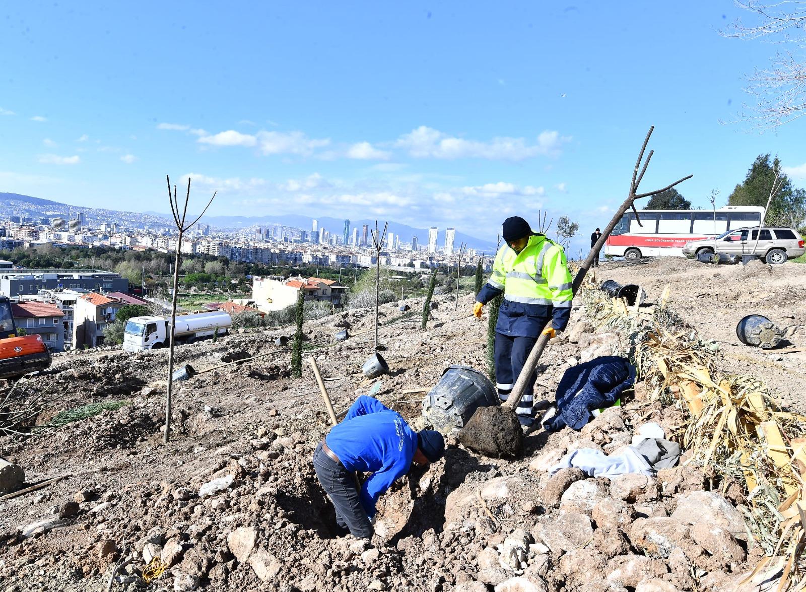 Bornova Yeni Bir Orman Kazanıyor2