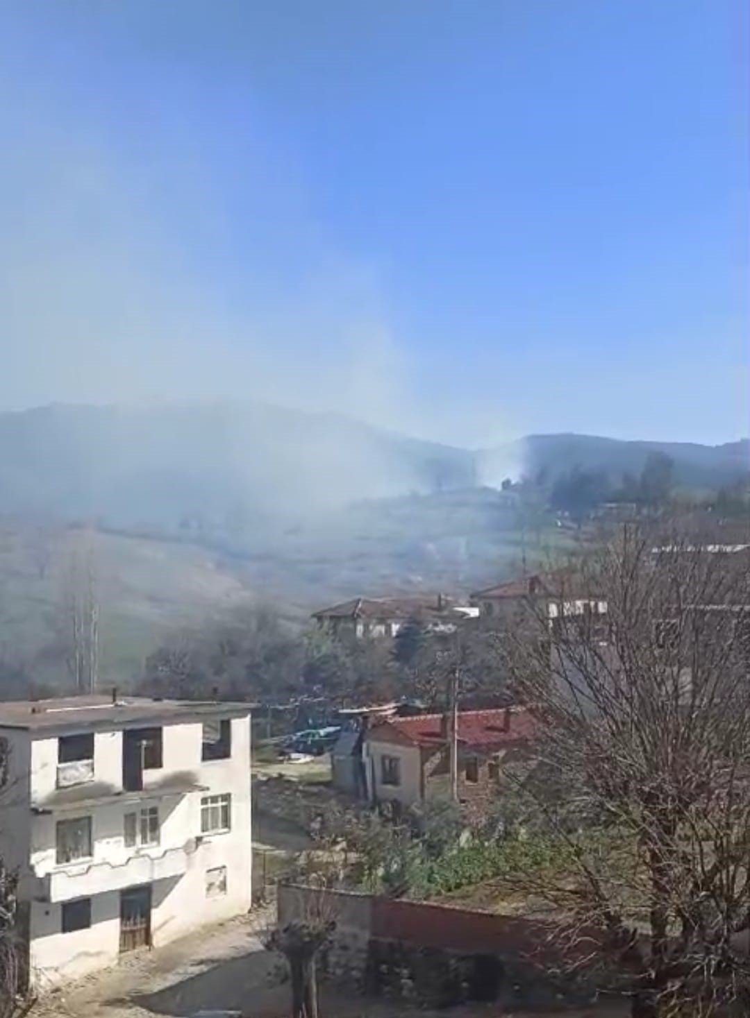 Çanakkale'deki Tarla Yangını Ormana Sıçradı! 1