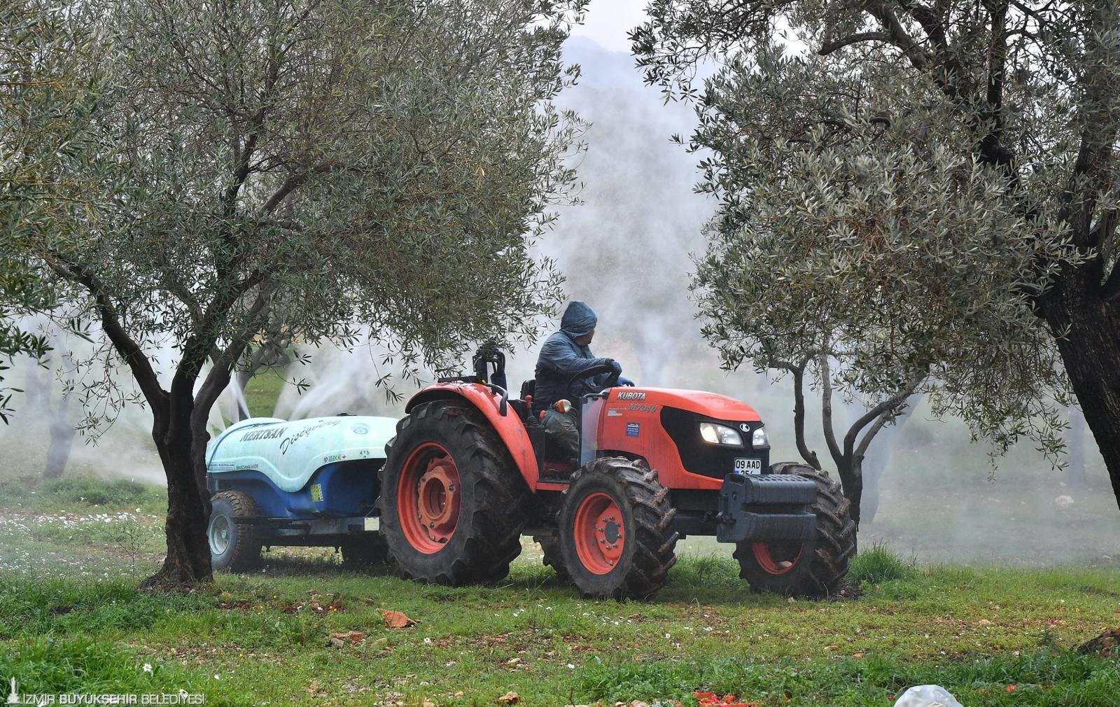 İzmir Büyükşehir’den Zeytin Üreticisine Can Suyu Değerinde Destek2