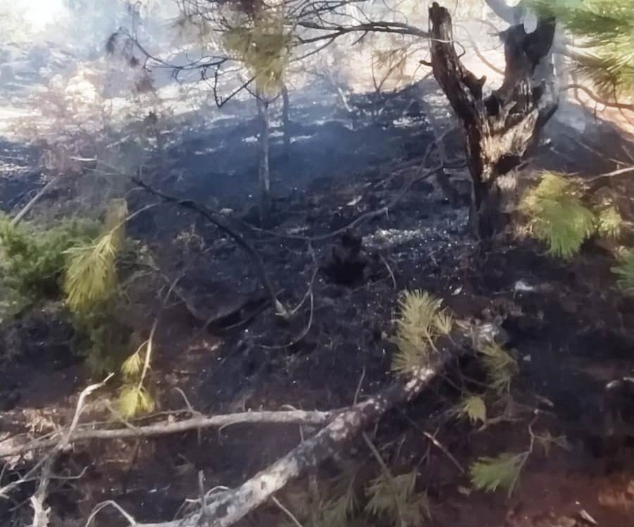 Kütahya'da Korkutan Orman Yangını!1
