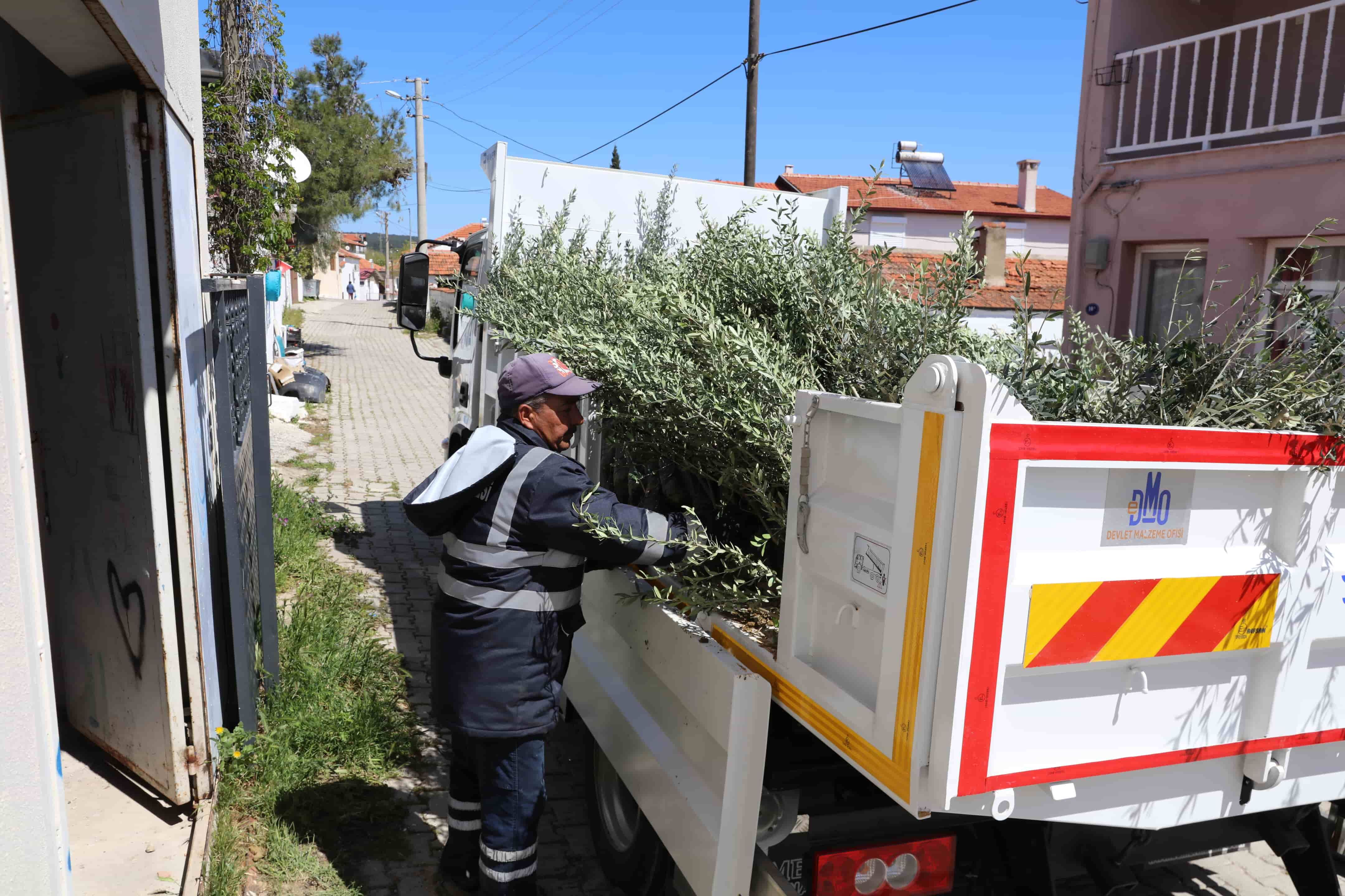 Urla Belediyesi'nden 7 Bin Zeytin Fidanı Desteği (1)