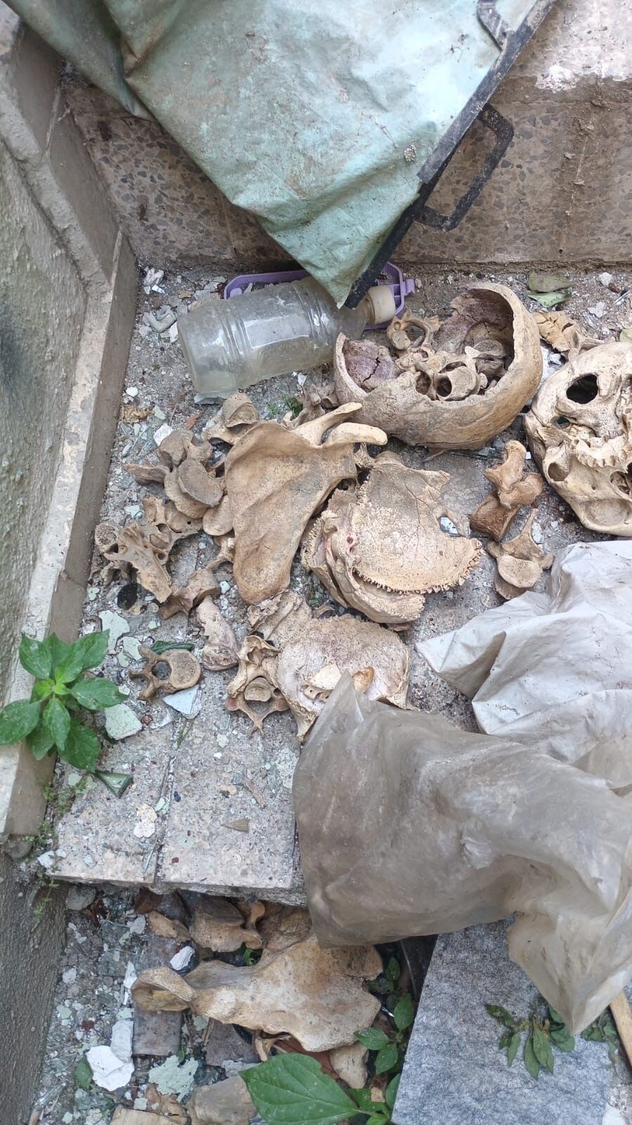 İzmir'de Şoke Eden Olay! Boş Binada Kafatası Ve Kemik Parçaları Bulundu1