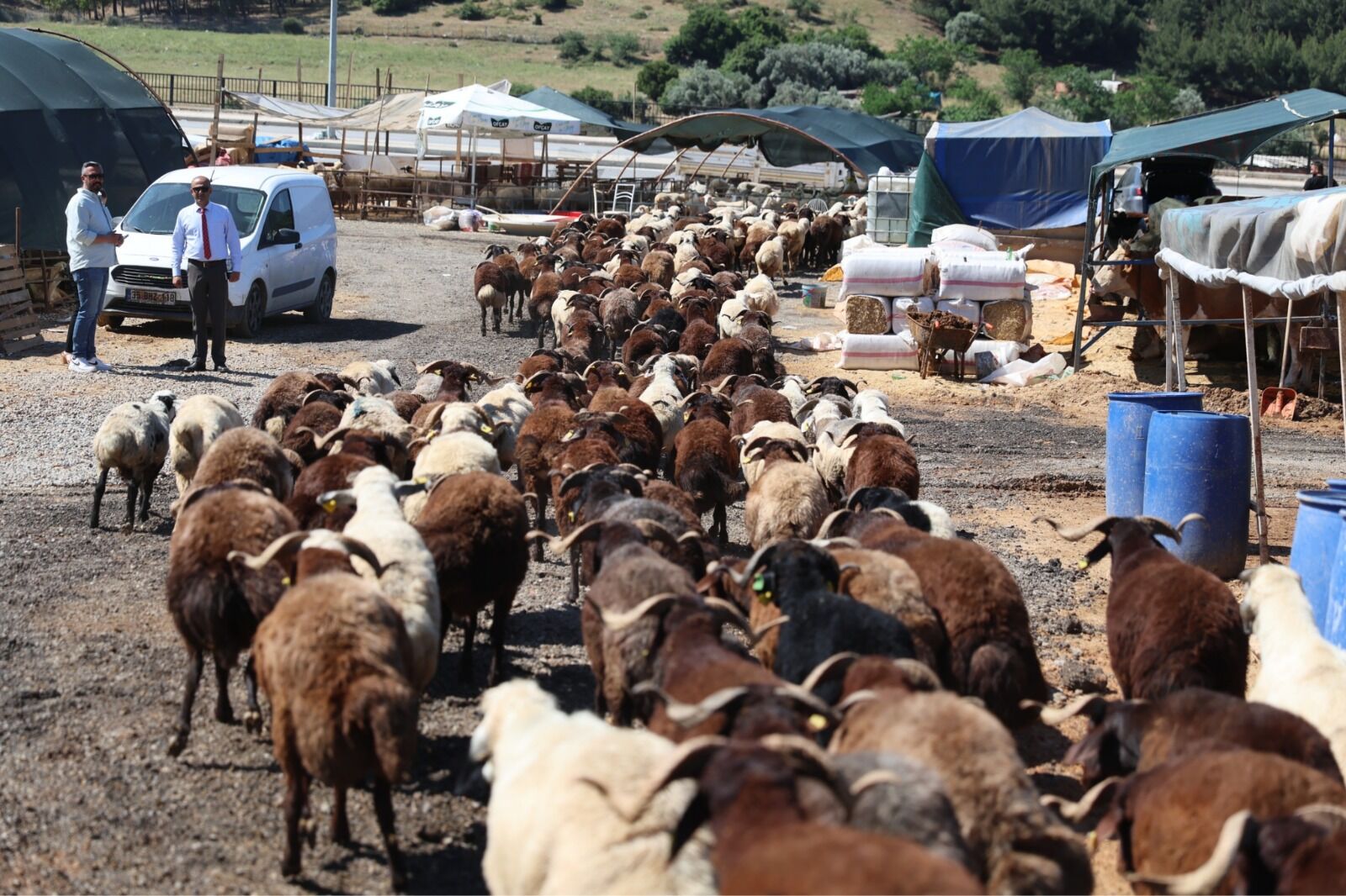 Karabağlar Belediyesi’nden Modern Kurban Satış Ve Kesim Alanı (4)