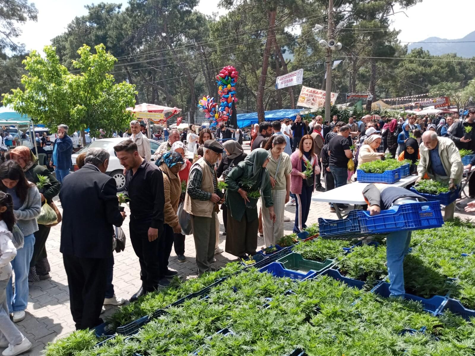 Manisa'da Anneler Günü’nde Binlerce Çiçek Dağıtıldı (2)