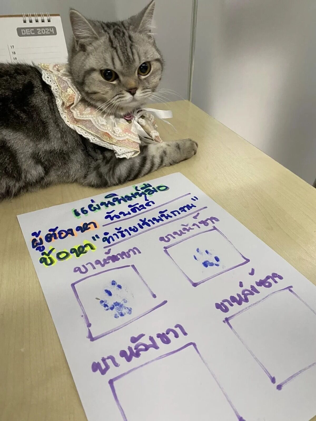 Polisleri Isıran Kedi Gözaltına Alındı! ‘Kefaletle Sahibi Alabilir’ (3)