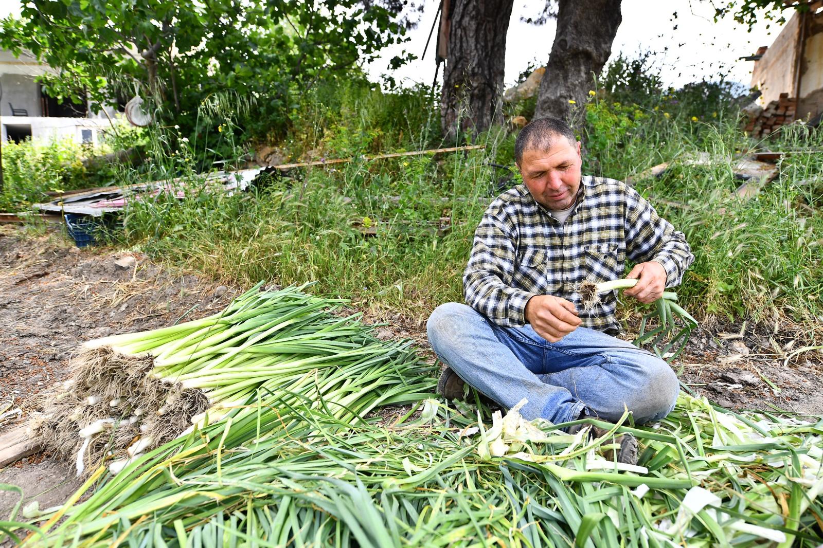 Tarladan Sofraya Uzanan Başarı Öyküsü1Ekopazar İzmir