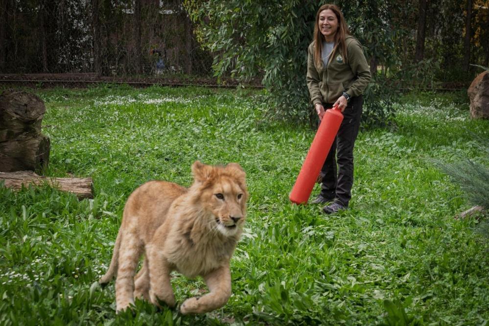 Aslan2