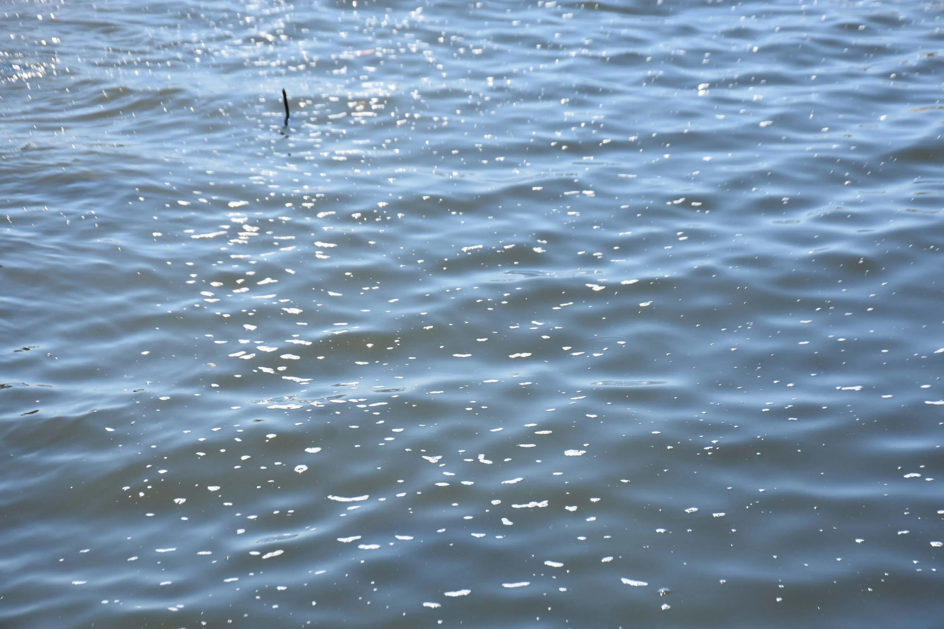 Izmir Korfezi Koku Artiyor 5