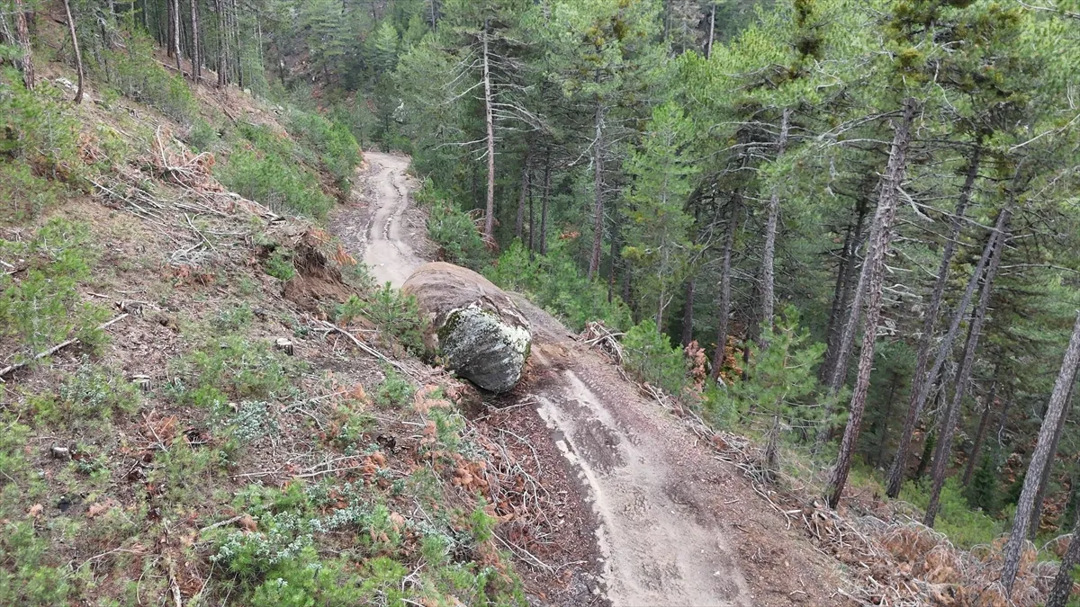 Deprem Sonrasi Emet Yamacindan Kaya Koptu Orman Yolu Kapandi