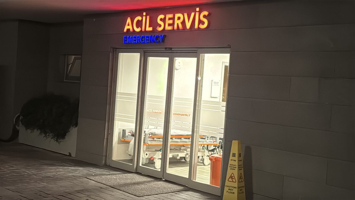 Zulfu Livaneli Nin Esi Ulker Livaneli Merdive 4 19886464 Amp
