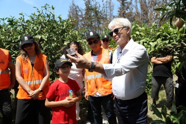 Losev Seferihisarda Biyolojik Mucadeleyle Mandalina Uretiyor 1782223266