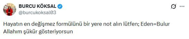 Burcu Koksaldan Gozaltina Alin 20101418 4230 1 M