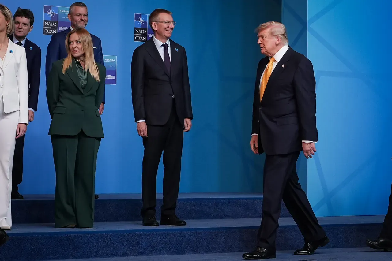 Nato 2-7