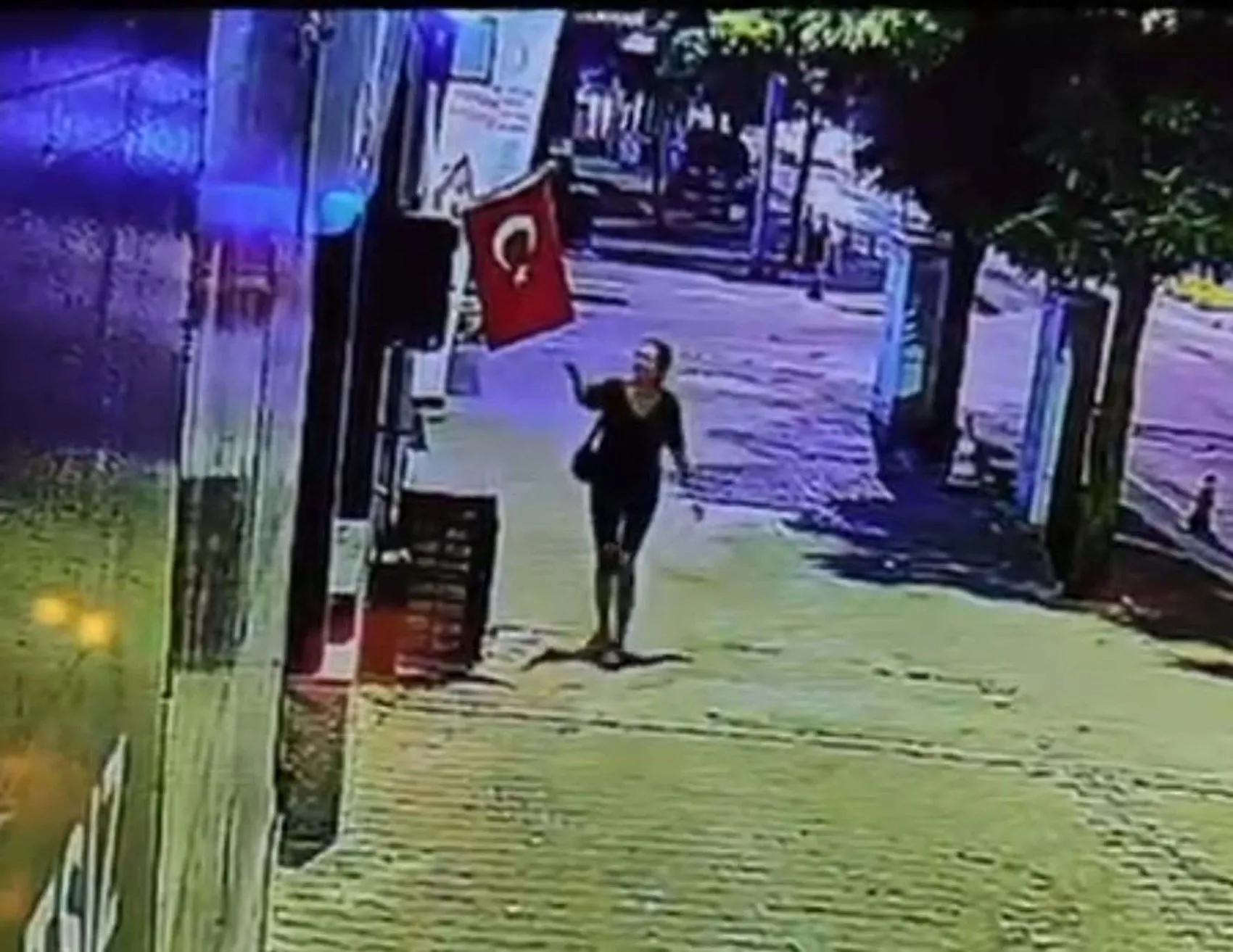 546 Muglada Dukkan Onundeki Turk Bayragini Yakan Kadin Yakalandi