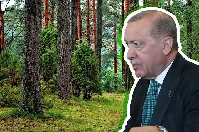27 ilde bazı alanlar orman sınırları dışına çıkarıldı