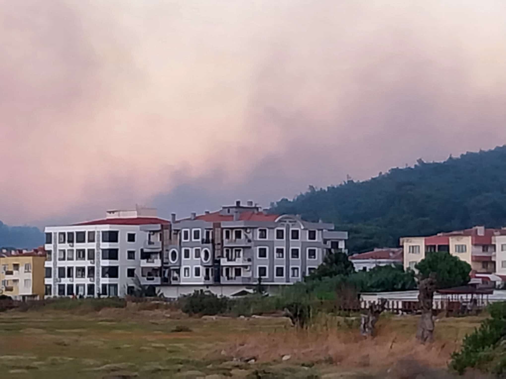 Ayvalık Küçükköy girişindeki yangın söndürüldü