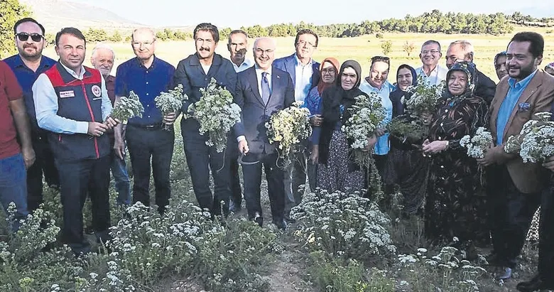 YAŞAM